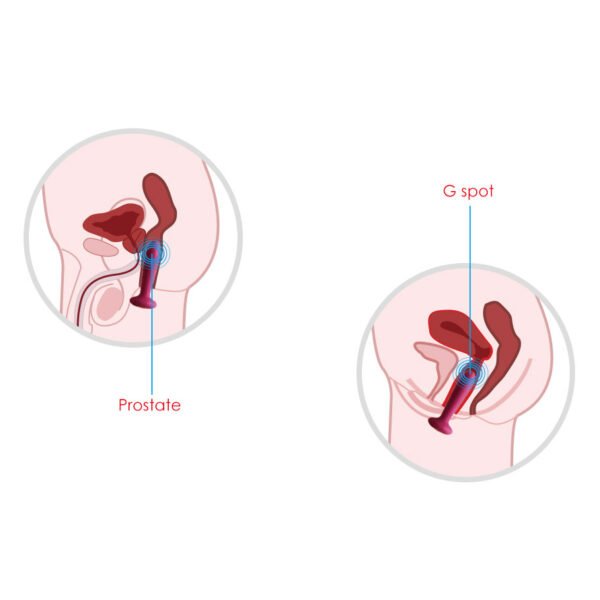 Plug-anal-vibrador-termico-primo-svakom1 Plug Anal Vibrador Térmico Primo - Svakom